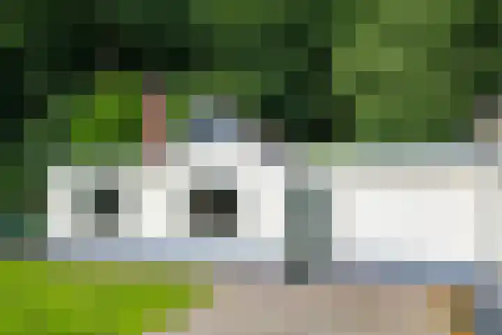 Hooglandseweg 28 Braamt thumbnail 18