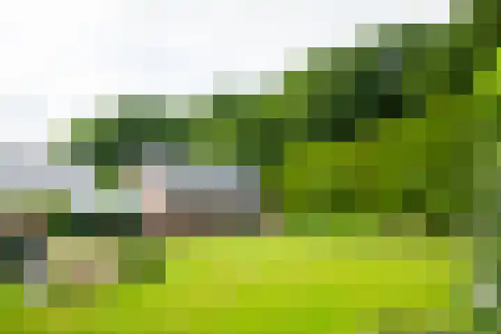 Hooglandseweg 28 Braamt thumbnail 43