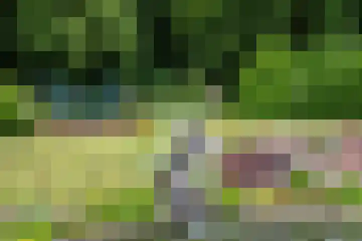 Hooglandseweg 28 Braamt thumbnail 59