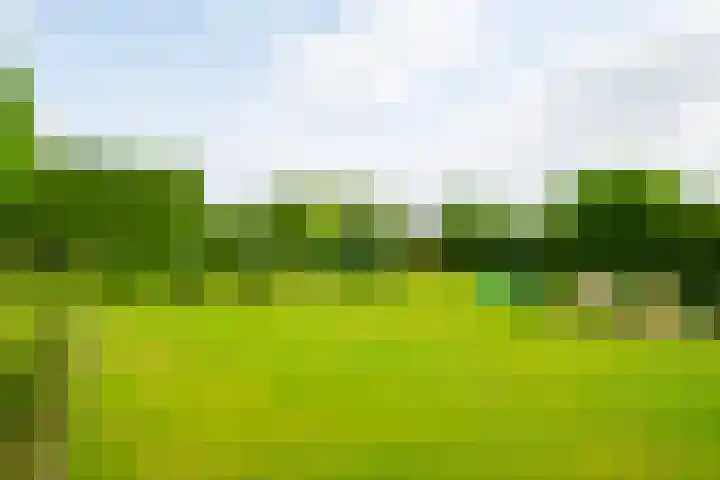 Hooglandseweg 28 Braamt thumbnail 62