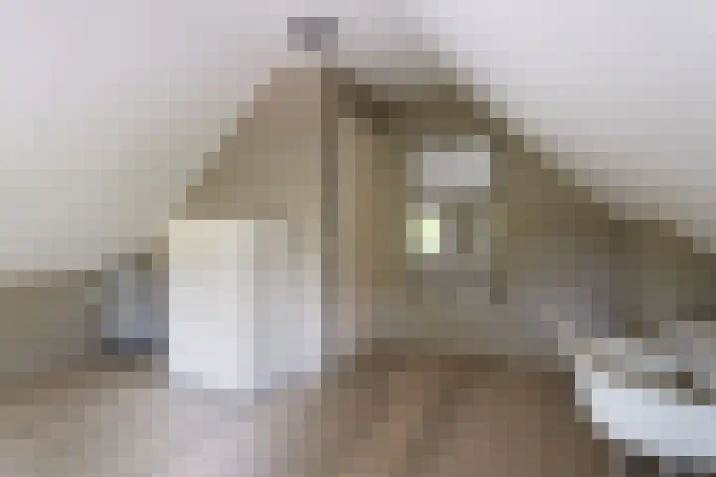 Hooglandseweg 7 Braamt thumbnail 23