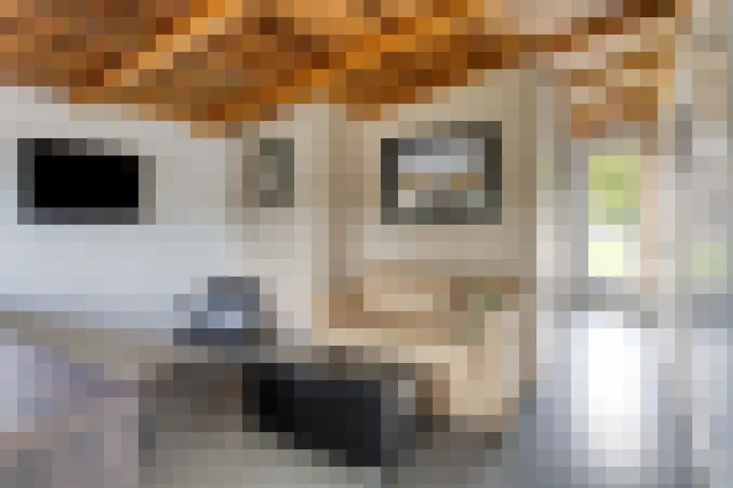 Hooglandseweg 7 Braamt thumbnail 41
