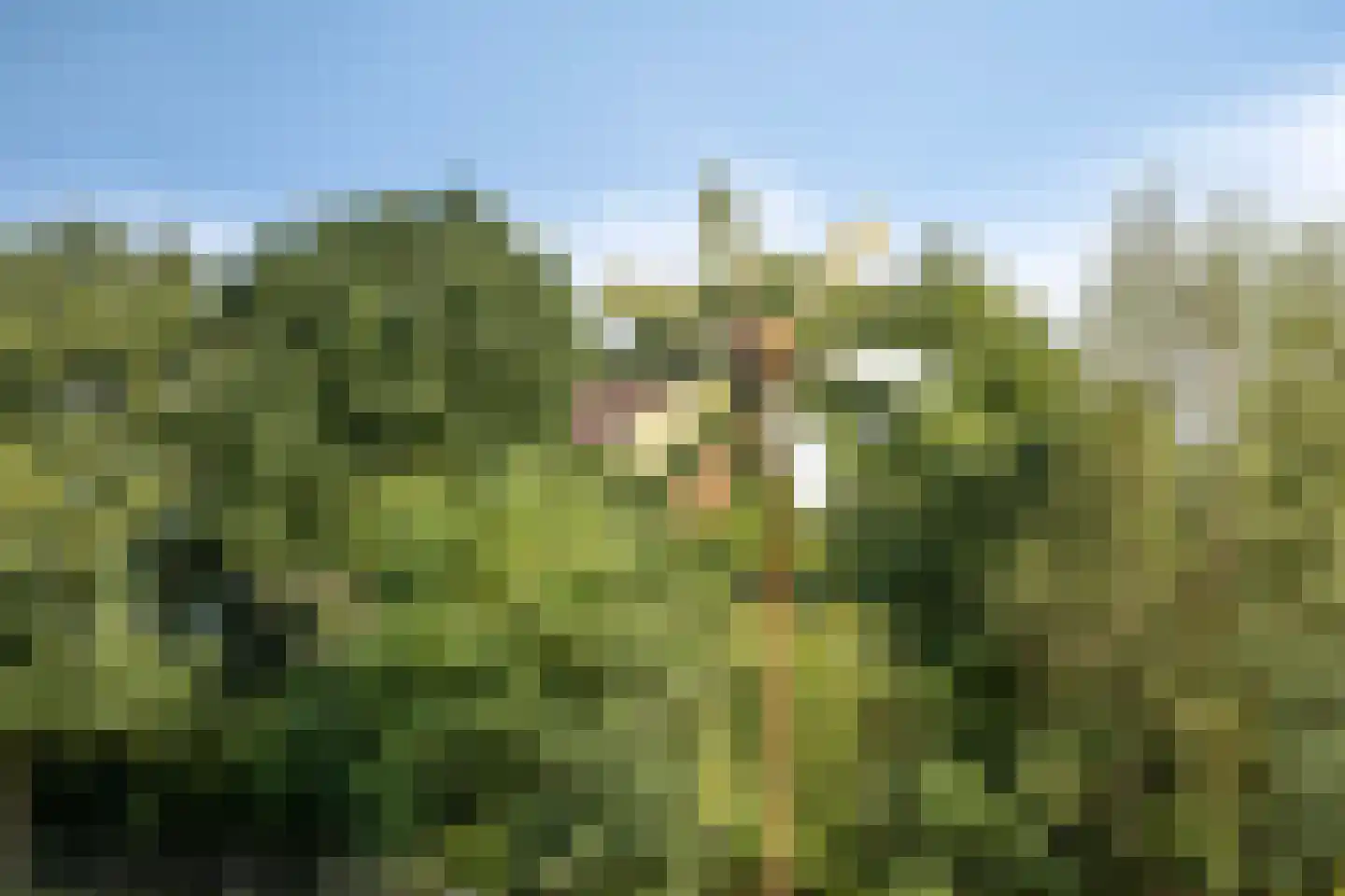 Hooglandseweg 7 Braamt thumbnail 53