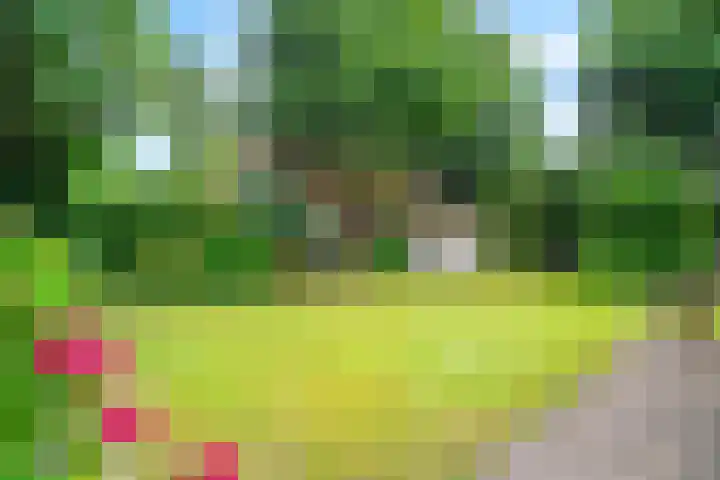 Hooglandseweg-Noord 48 Amersfoort thumbnail 27