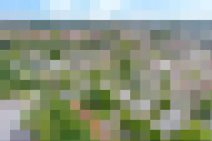 Hooglandseweg-Noord 48 Amersfoort thumbnail 38