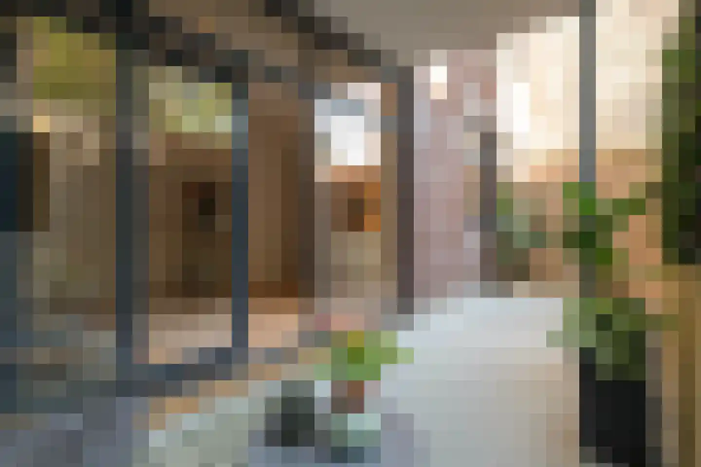 Hooglandstraat 184 Rotterdam thumbnail 5