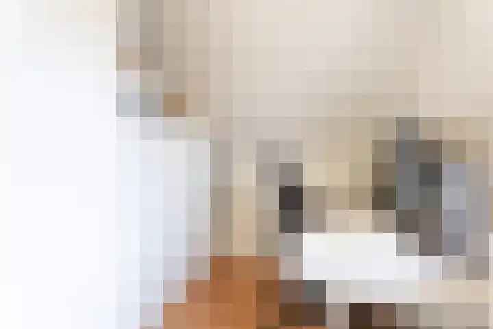 Hooglandstraat 2 Tilburg thumbnail 18