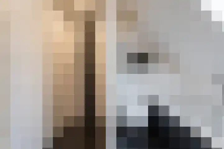 Hooglandstraat 2 Tilburg thumbnail 23
