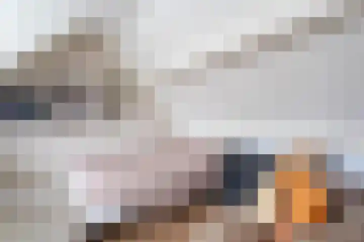 Hooglandstraat 2 Tilburg thumbnail 27