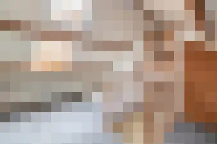 Hooglandswyk 101 Drachten thumbnail 36