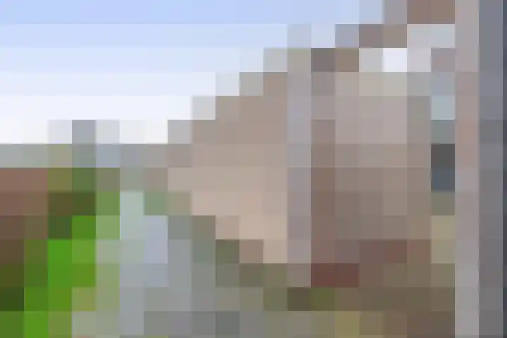 Hooglandswyk 101 Drachten thumbnail 38