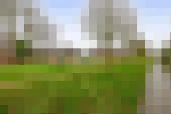 Hooglandswyk 101 Drachten thumbnail 40