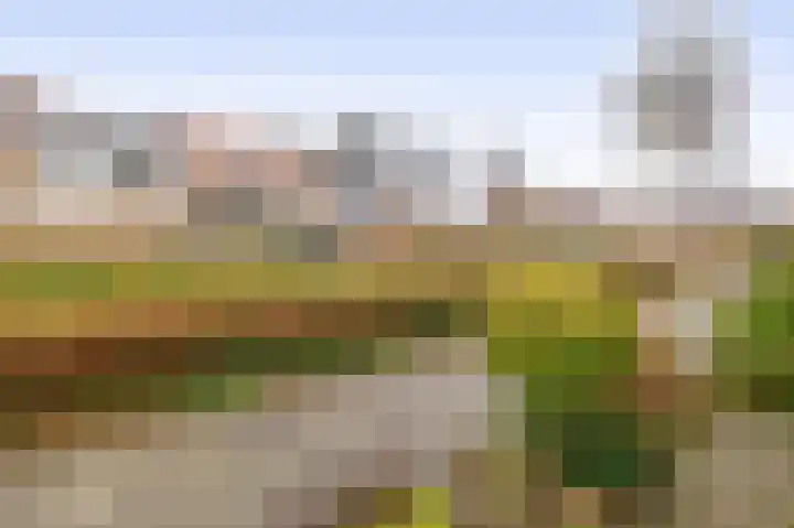 Hooglandswyk 101 Drachten thumbnail 41