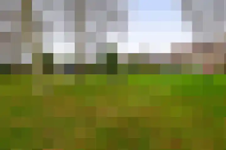 Hooglandswyk 101 Drachten thumbnail 42