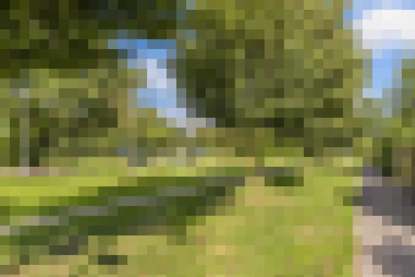 Hooglandswyk 107 Drachten thumbnail 60
