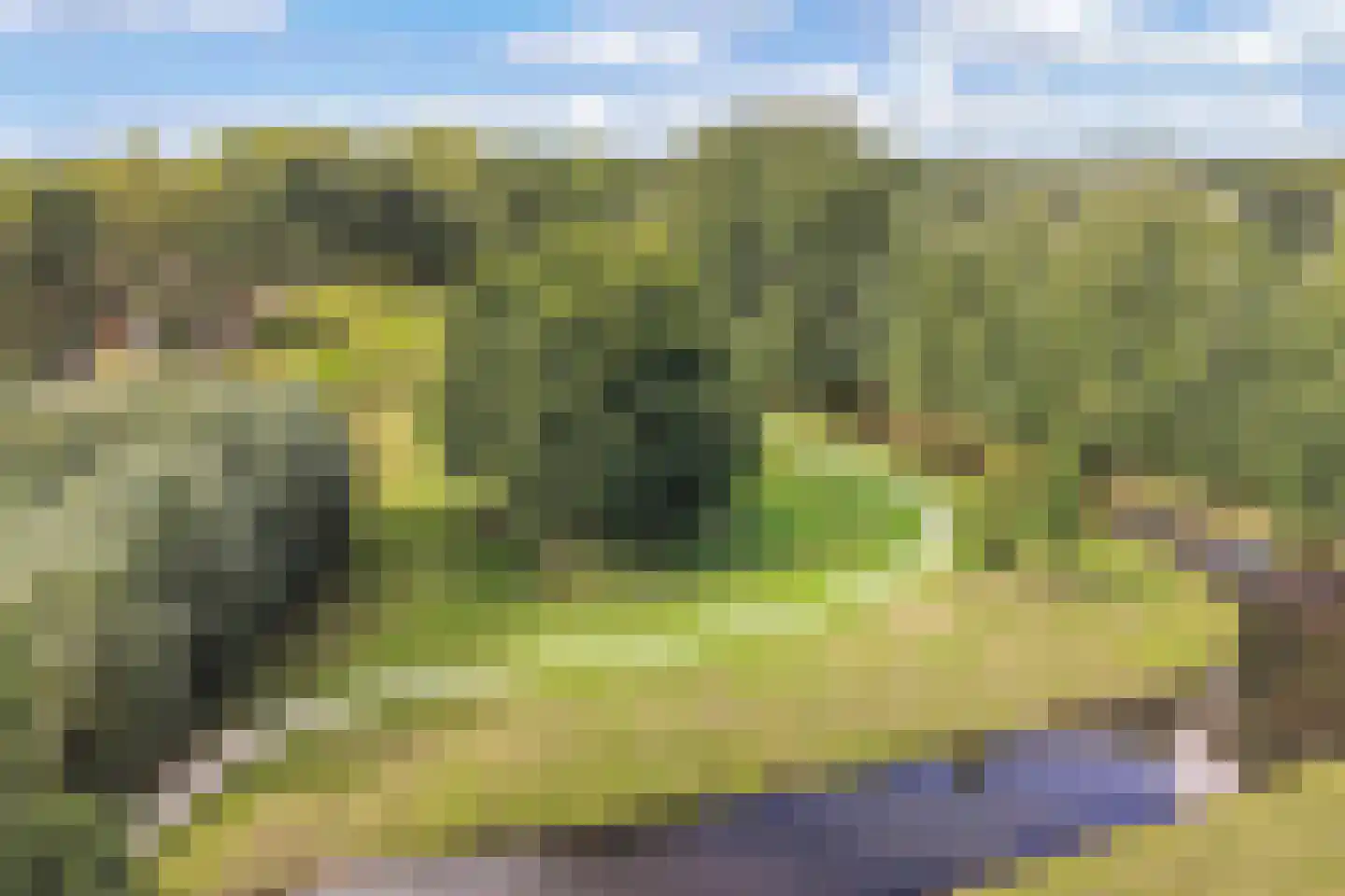 Hooglandswyk 107 Drachten thumbnail 61