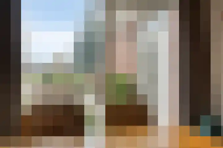 Hooglandswyk 135 Drachten thumbnail 28