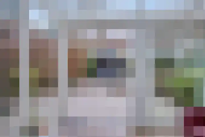 Hooglandswyk 135 Drachten thumbnail 33