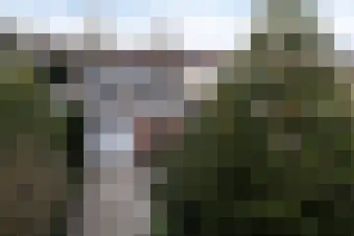 Hooglandswyk 135 Drachten thumbnail 4