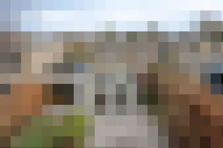 Hooglandswyk 135 Drachten thumbnail 50