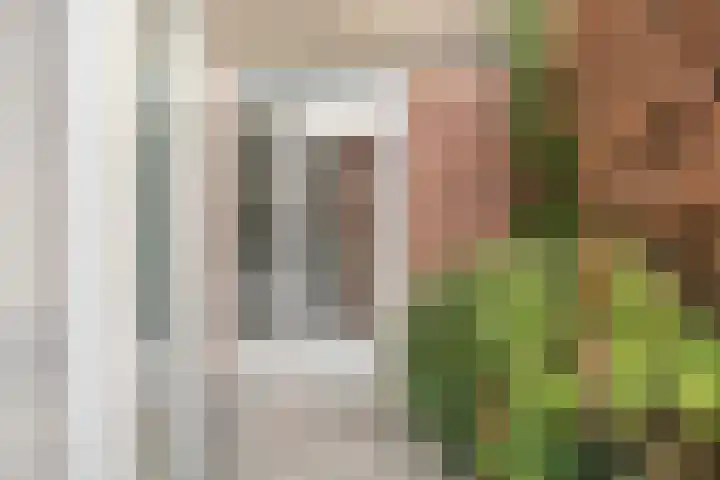 Hooglandswyk 135 Drachten thumbnail 51