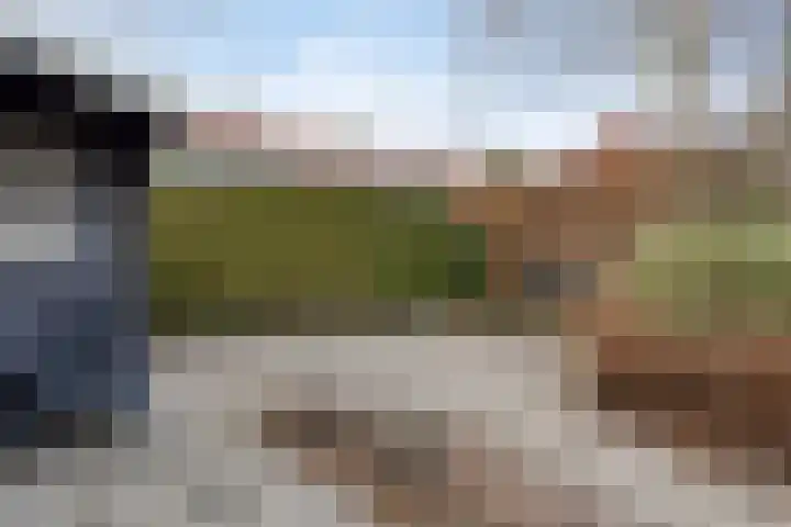 Hooglandswyk 135 Drachten thumbnail 53