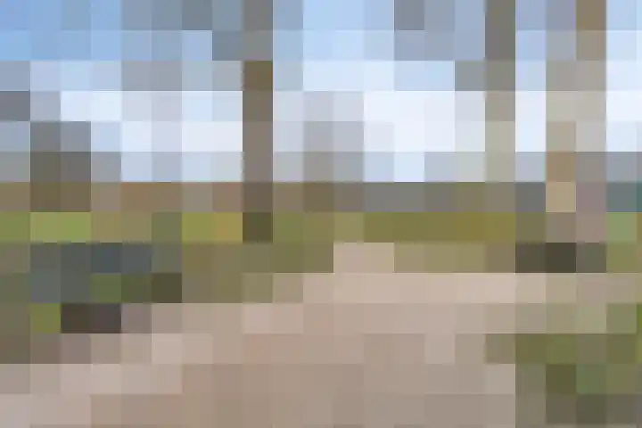 Hooglandswyk 135 Drachten thumbnail 57