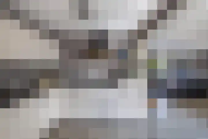 Hooglandswyk 20 Drachten thumbnail 16