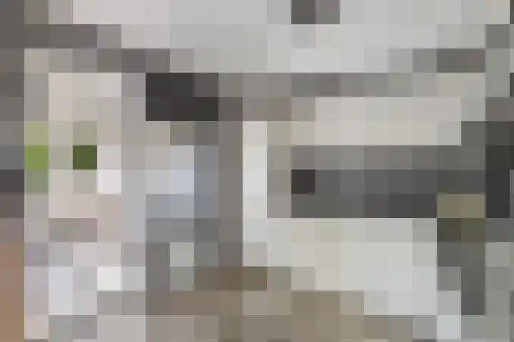 Hooglandswyk 20 Drachten thumbnail 18