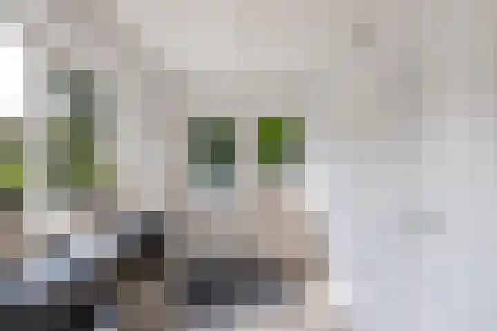 Hooglandswyk 20 Drachten thumbnail 19