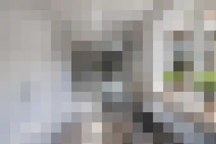 Hooglandswyk 20 Drachten thumbnail 20