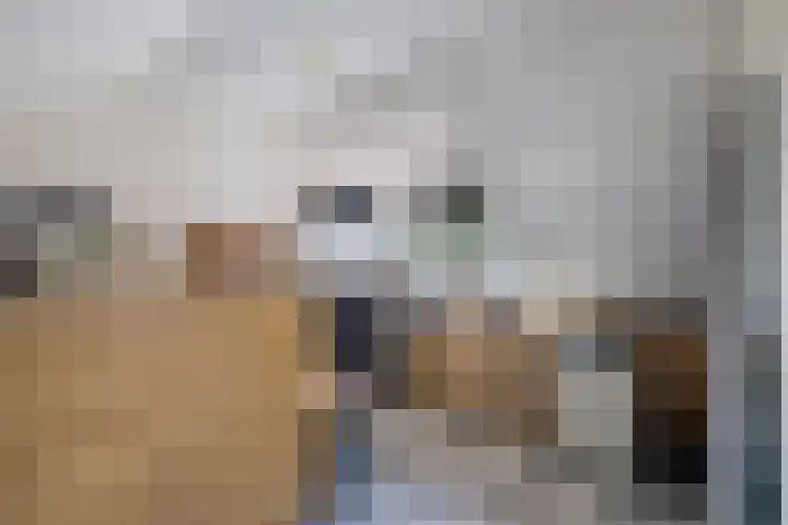 Hooglandswyk 20 Drachten thumbnail 39