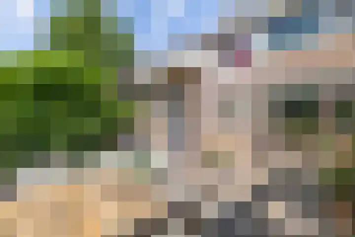Hooglandswyk 20 Drachten thumbnail 40