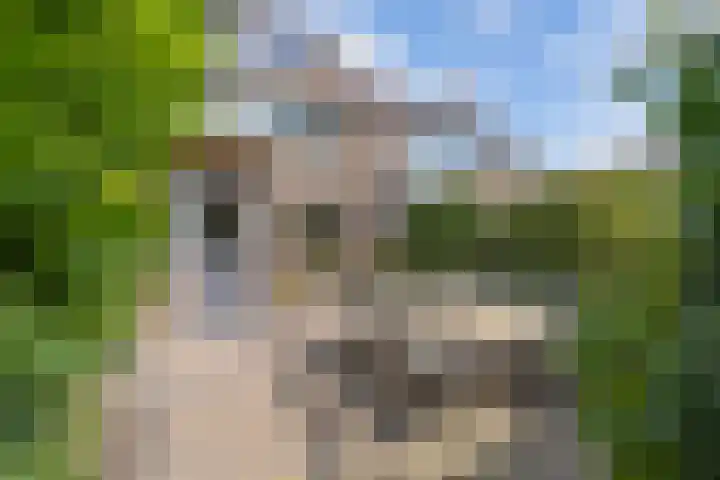 Hooglandswyk 20 Drachten thumbnail 43