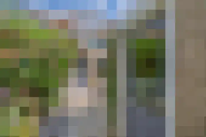 Hooglandswyk 20 Drachten thumbnail 45