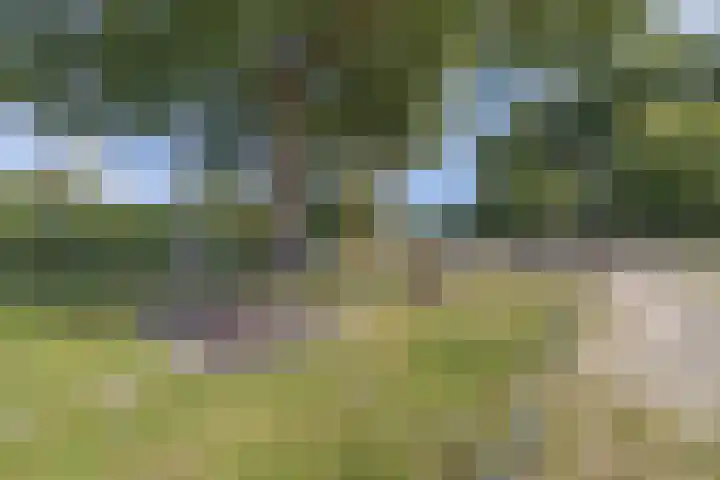 Hooglandswyk 20 Drachten thumbnail 46