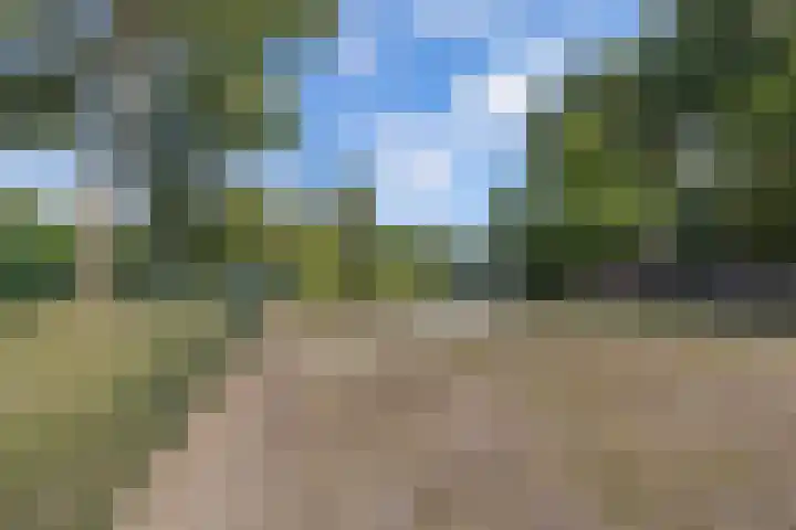 Hooglandswyk 20 Drachten thumbnail 48