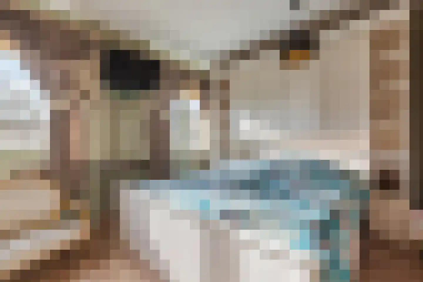 Hooglied 14 Amersfoort thumbnail 15