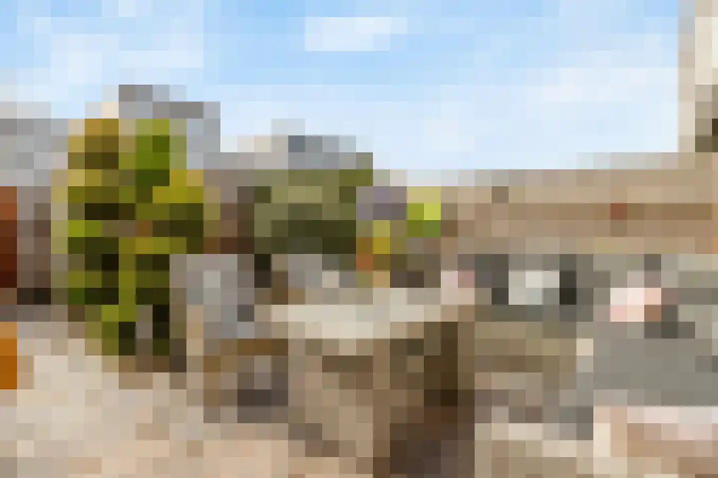 Hooglied 14 Amersfoort foto 3