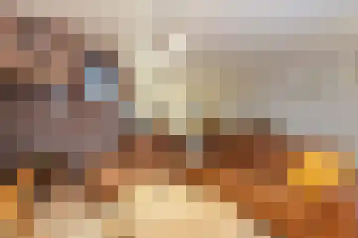Hoogmaai 4 Oud Gastel thumbnail 16