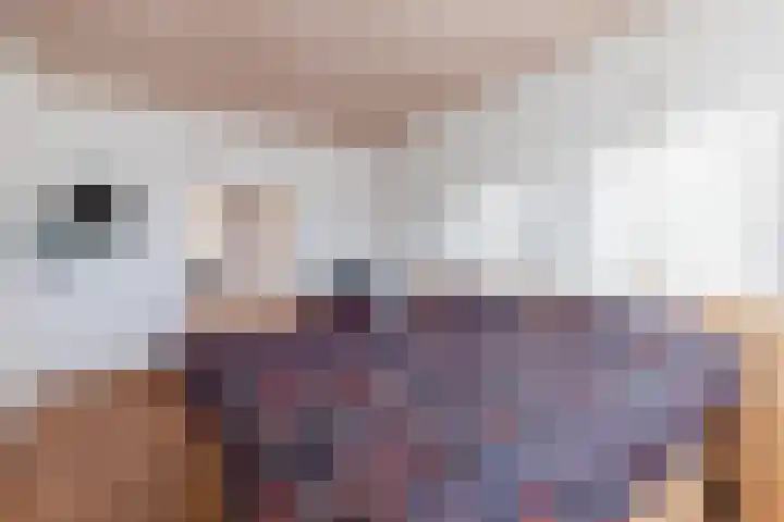 Hoogmaai 4 Oud Gastel thumbnail 28