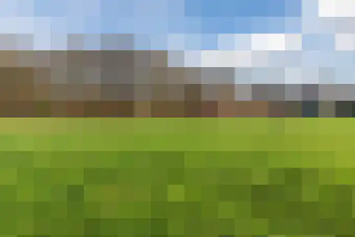 Hoogmaai 4 Oud Gastel thumbnail 50