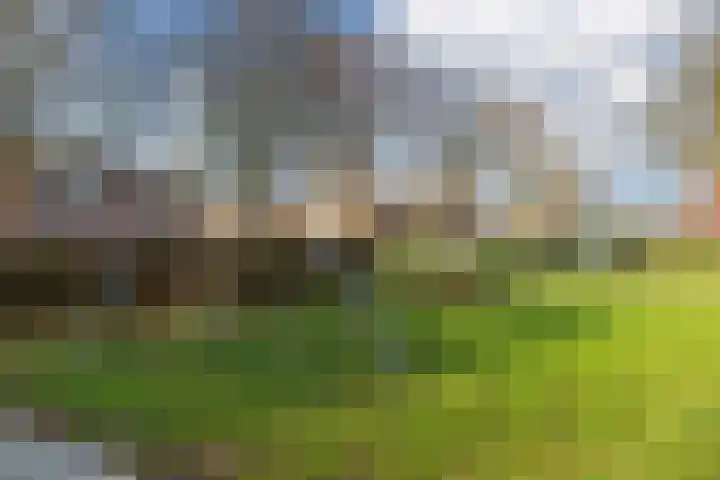 Hoogmaai 4 Oud Gastel thumbnail 51