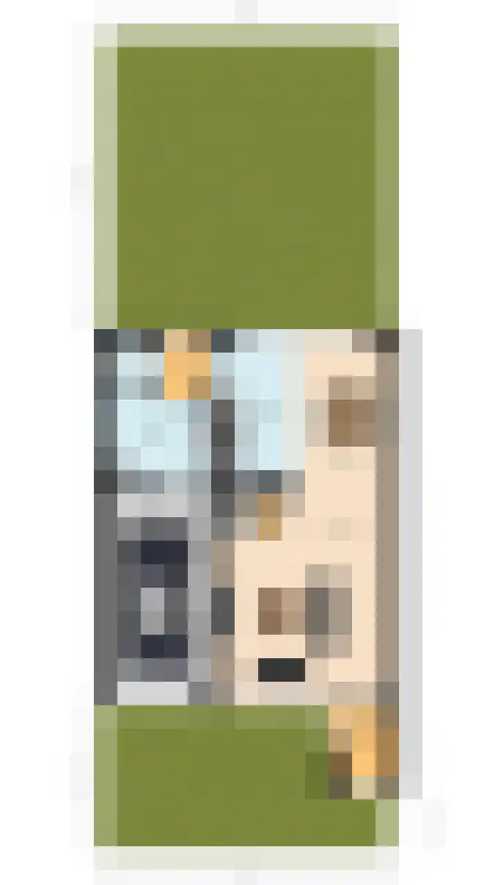 Hoogmaai 4 Oud Gastel thumbnail 54