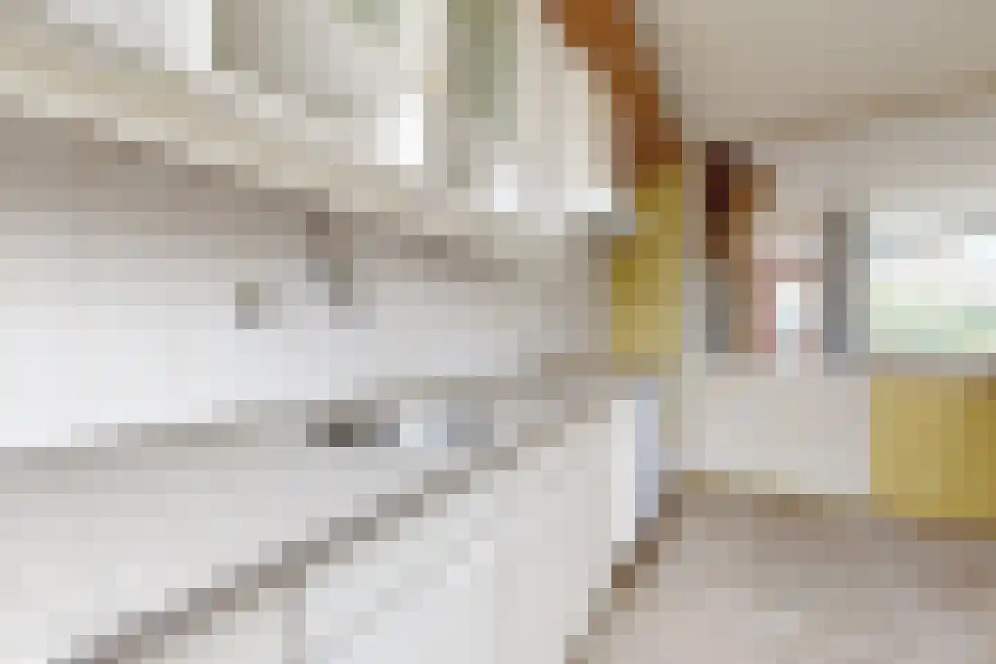 Hoogmade 15 Zevenbergen thumbnail 24