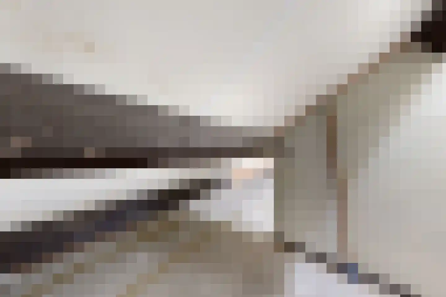 Hoogmade 15 Zevenbergen thumbnail 45