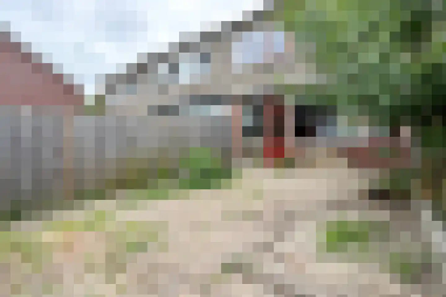 Hoogmade 15 Zevenbergen thumbnail 54