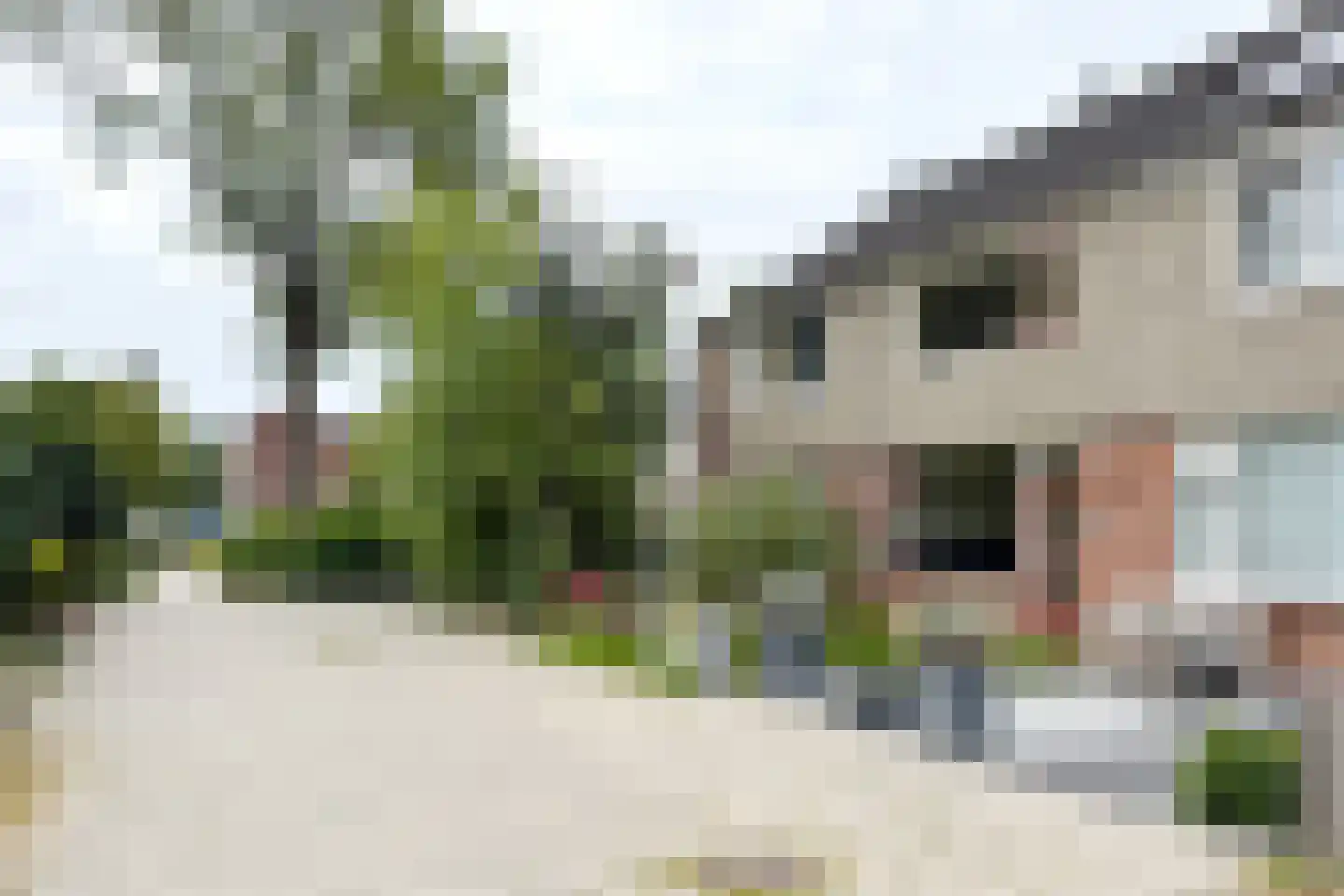 Hoogmade 15 Zevenbergen thumbnail 60