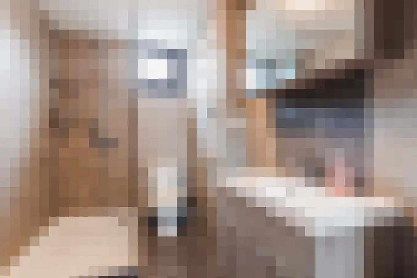 Hoogmade 31 Zevenbergen thumbnail 13