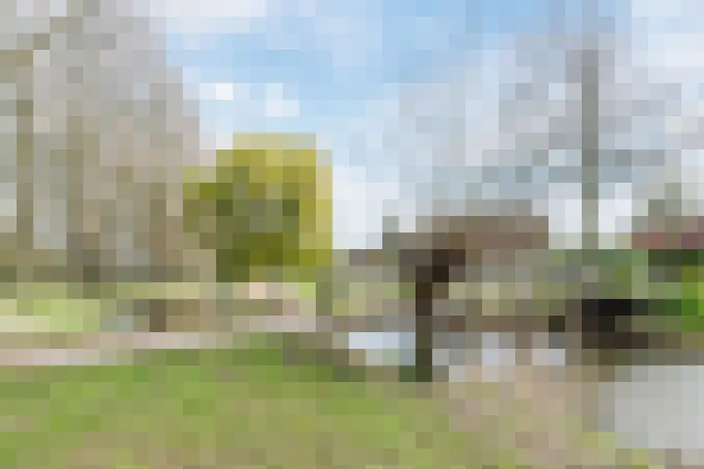 Hoogmade 31 Zevenbergen thumbnail 23
